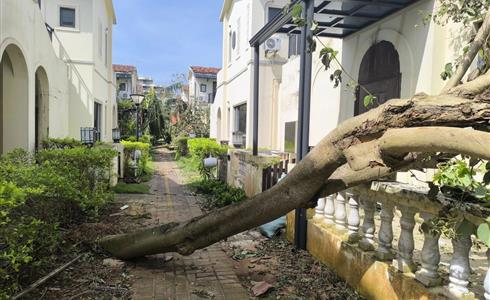 扛過“摩羯”！從成都中建材大尺寸碲化鎘發(fā)電玻璃項(xiàng)目淺談BIPV應(yīng)用優(yōu)勢